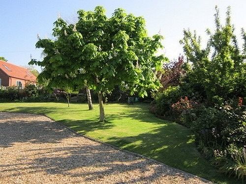 Pantiles B&B Cromer Buitenkant foto